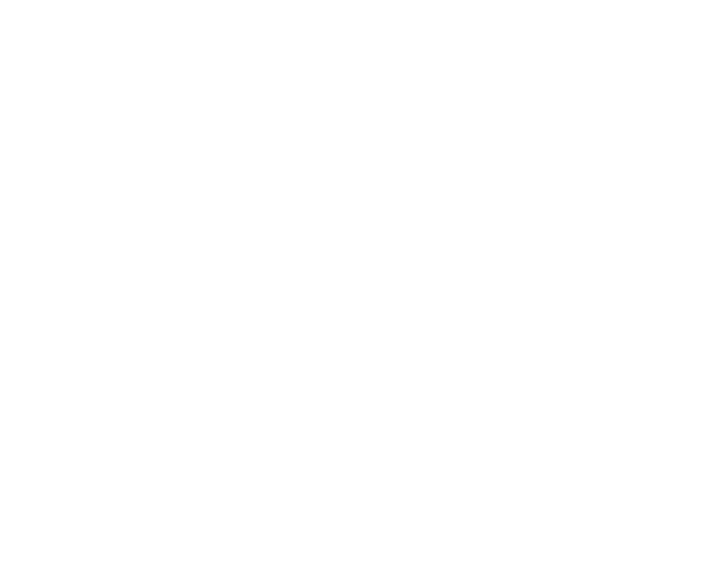 REAL JAPAN MADE