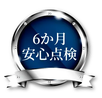6か月安心点検